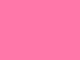 Wild Pink Color Chip